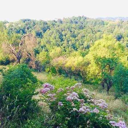 Bed & Breakfast Al Giardino Dei Mandorli 3*