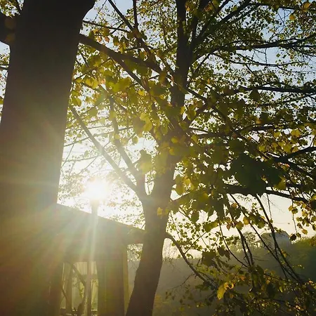 Al Giardino Dei Mandorli ベッド・アンド・ブレックファスト Prasco