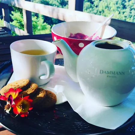 Al Giardino Dei Mandorli 3*