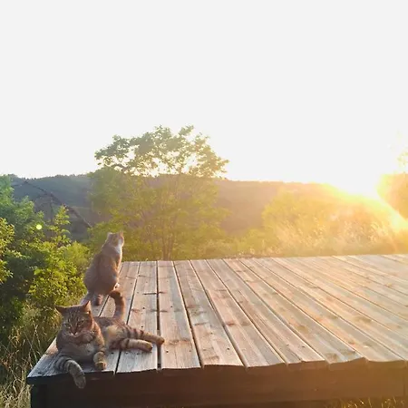 Al Giardino Dei Mandorli 3*