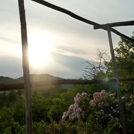 Bed & Breakfast Al Giardino Dei Mandorli