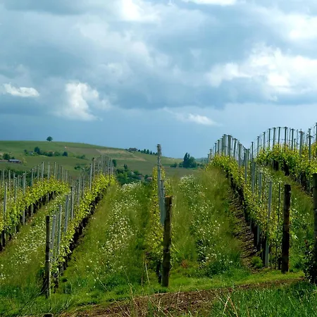 Al Giardino Dei Mandorli Bed & Breakfast Prasco