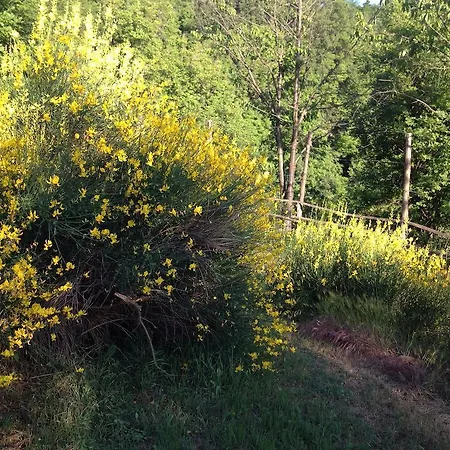 Al Giardino Dei Mandorli