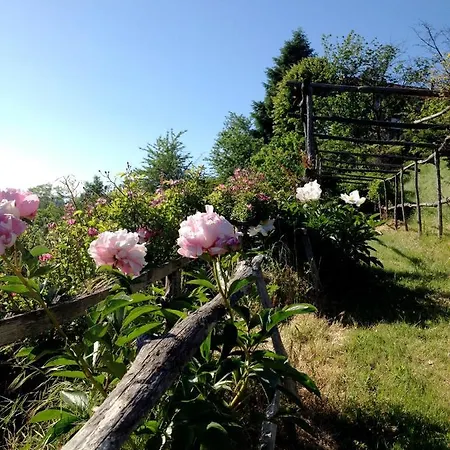 Al Giardino Dei Mandorli Prasco