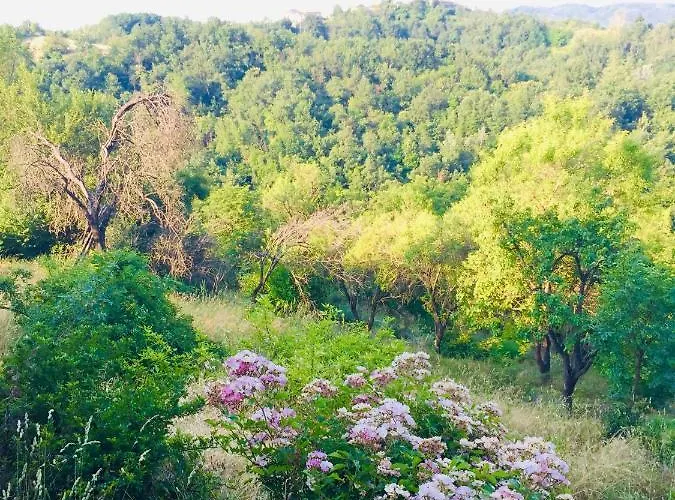 Bed & Breakfast Al Giardino Dei Mandorli 3*