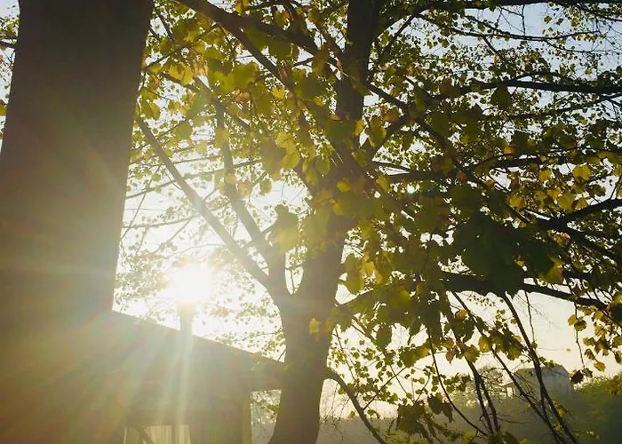 Al Giardino Dei Mandorli Bed & Breakfast Prasco