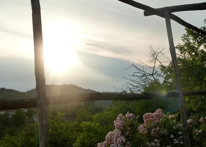 ベッド・アンド・ブレックファスト Al Giardino Dei Mandorli