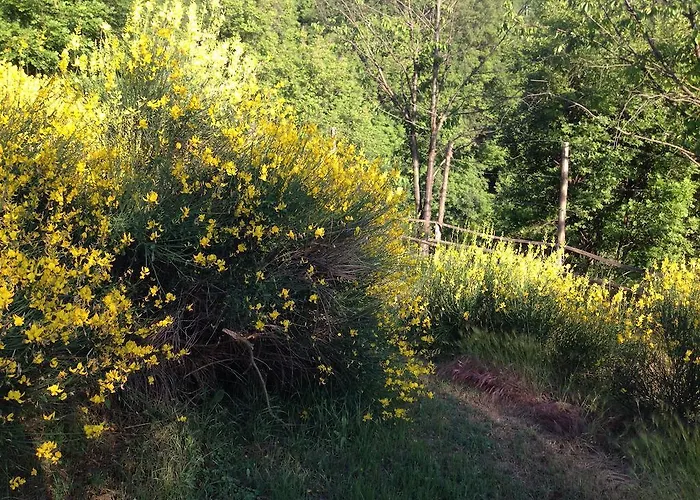 Al Giardino Dei Mandorli