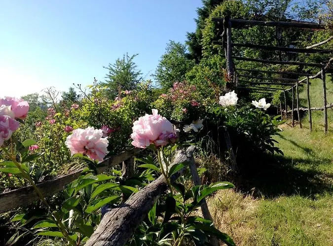 Al Giardino Dei Mandorli Prasco